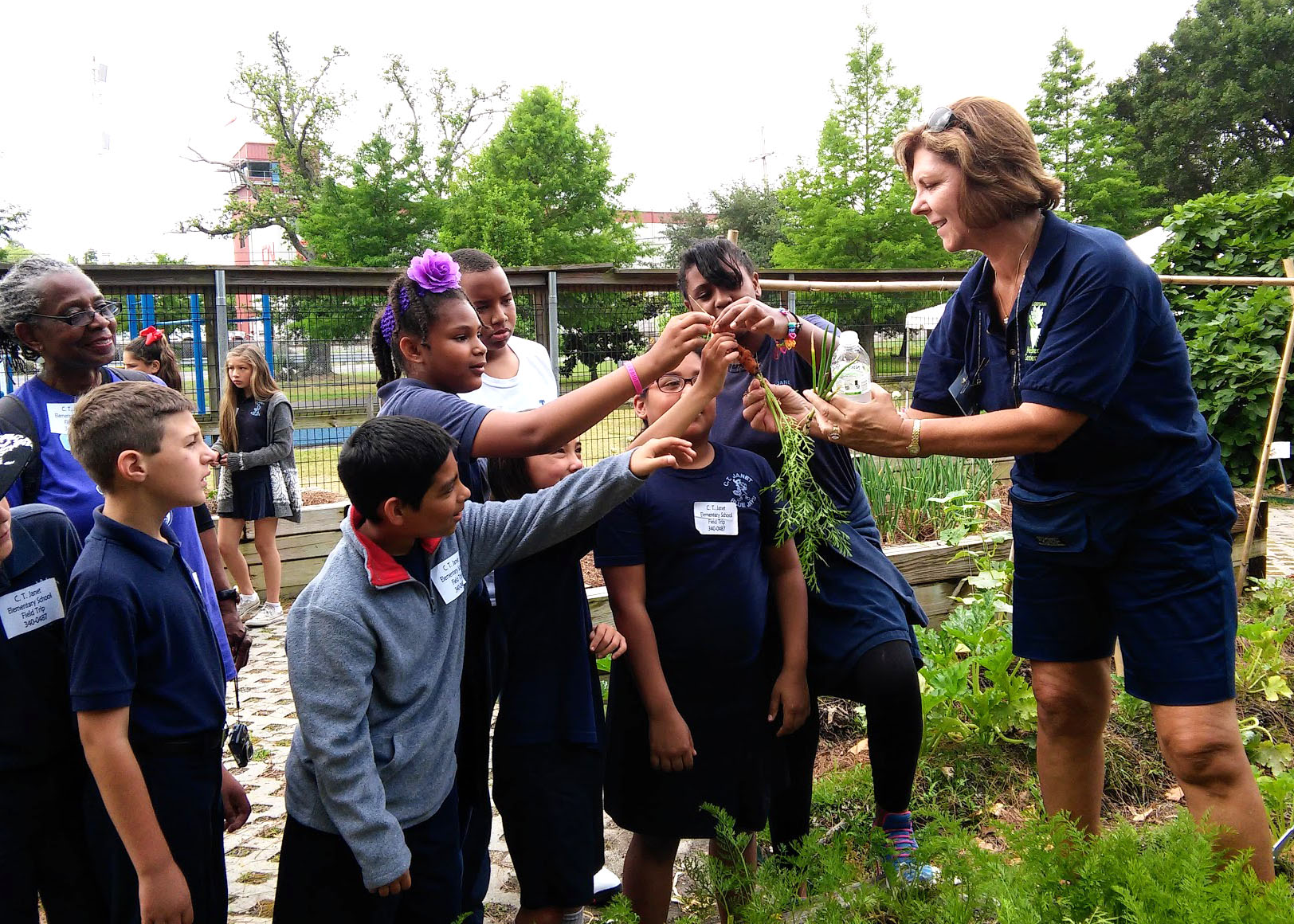 Master Gardeners Truly Are AgCenter Hands and Feet 